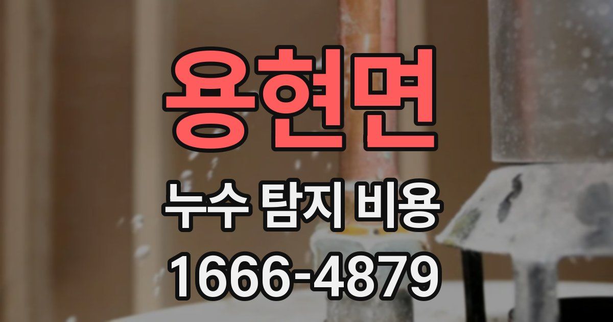 용현면 누수 탐지 비용