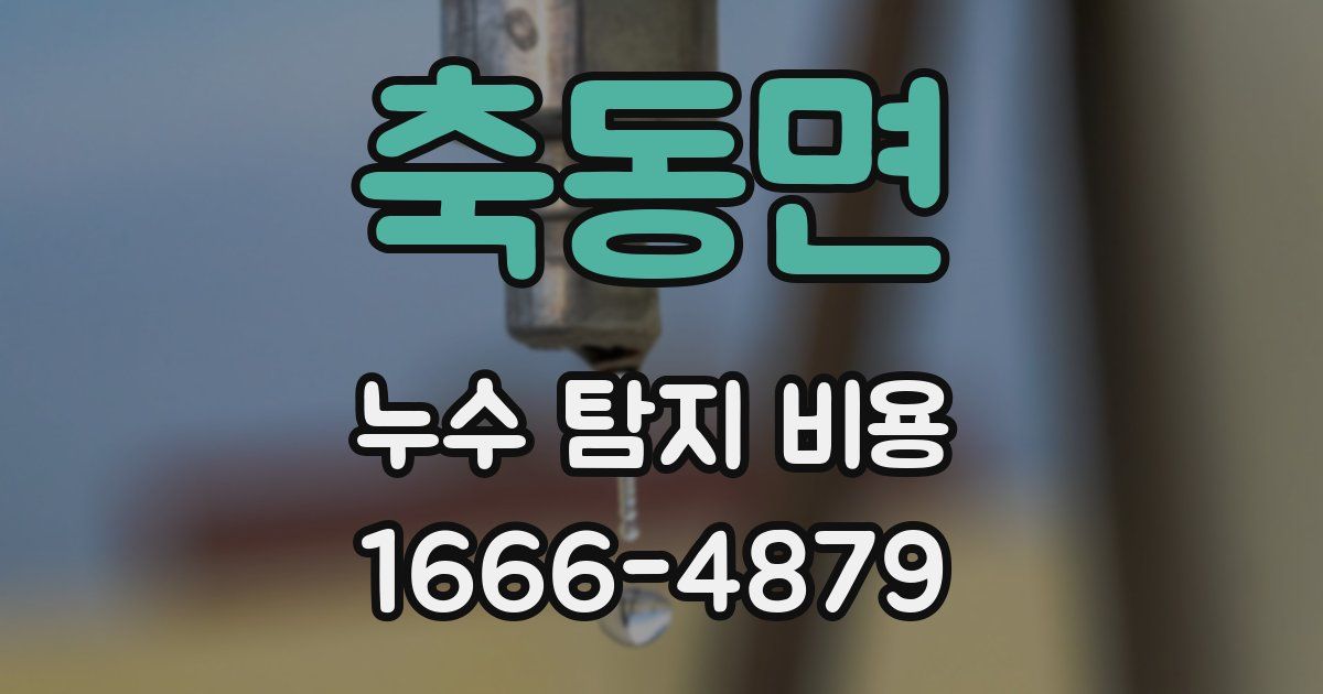 축동면 누수 탐지 비용