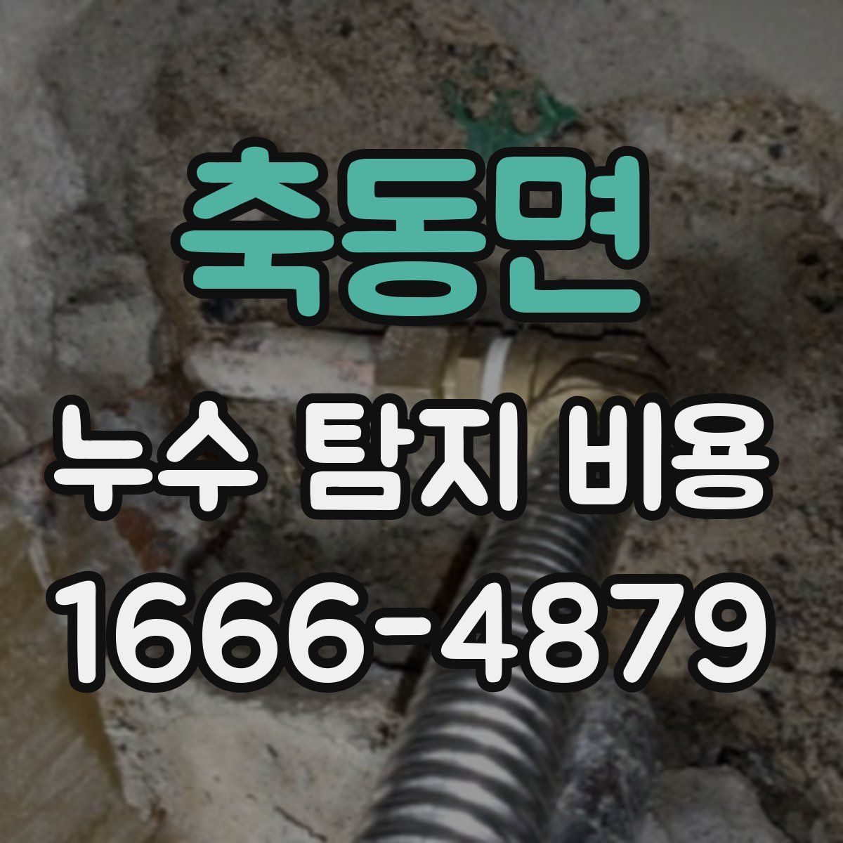 축동면 누수 탐지 비용