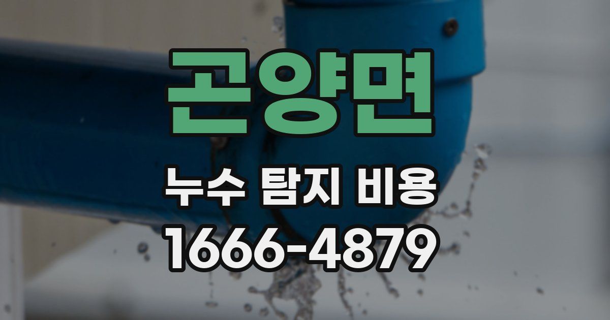 곤양면 누수 탐지 비용