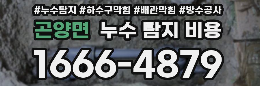 곤양면 누수 탐지 비용