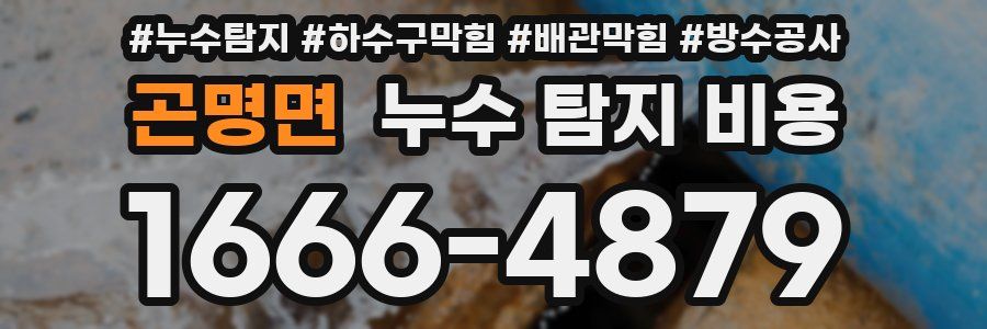 곤명면 누수 탐지 비용