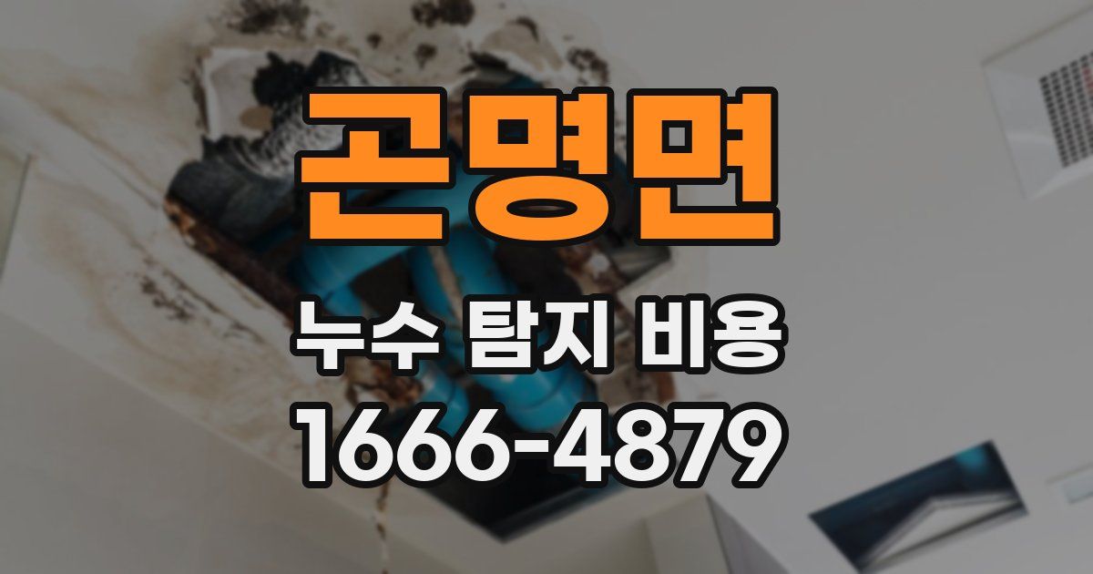 곤명면 누수 탐지 비용