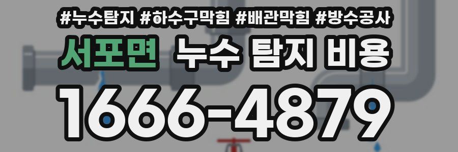 서포면 누수 탐지 비용