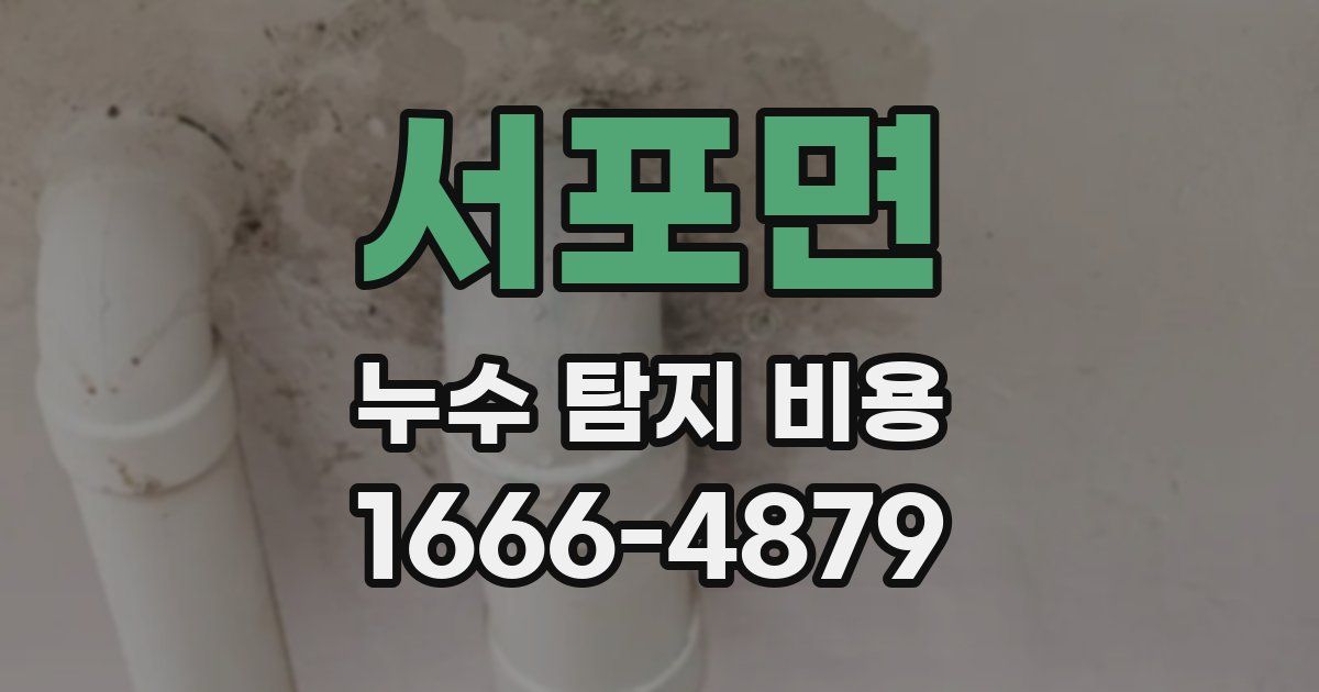 서포면 누수 탐지 비용