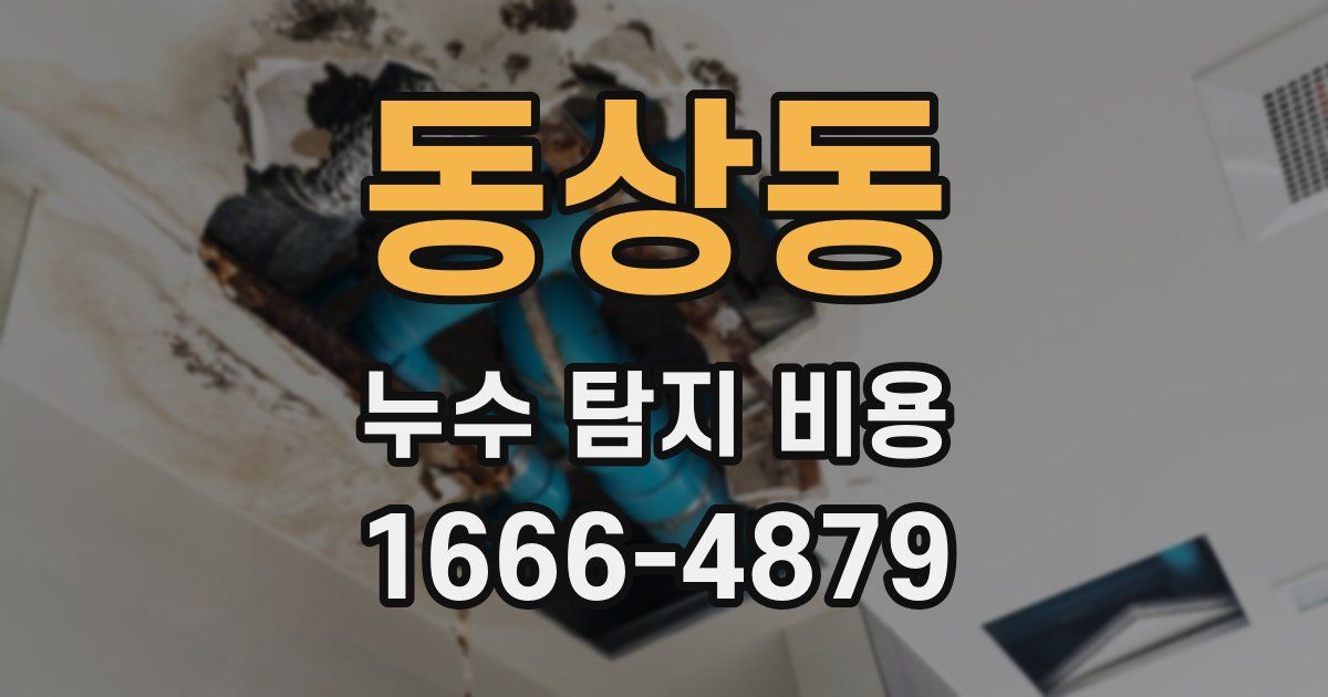 동상동 누수 탐지 비용