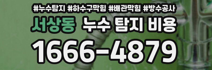 서상동 누수 탐지 비용