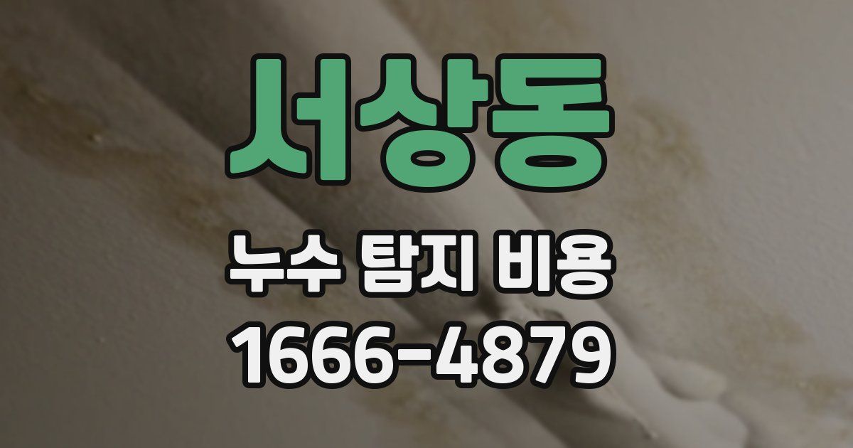 서상동 누수 탐지 비용