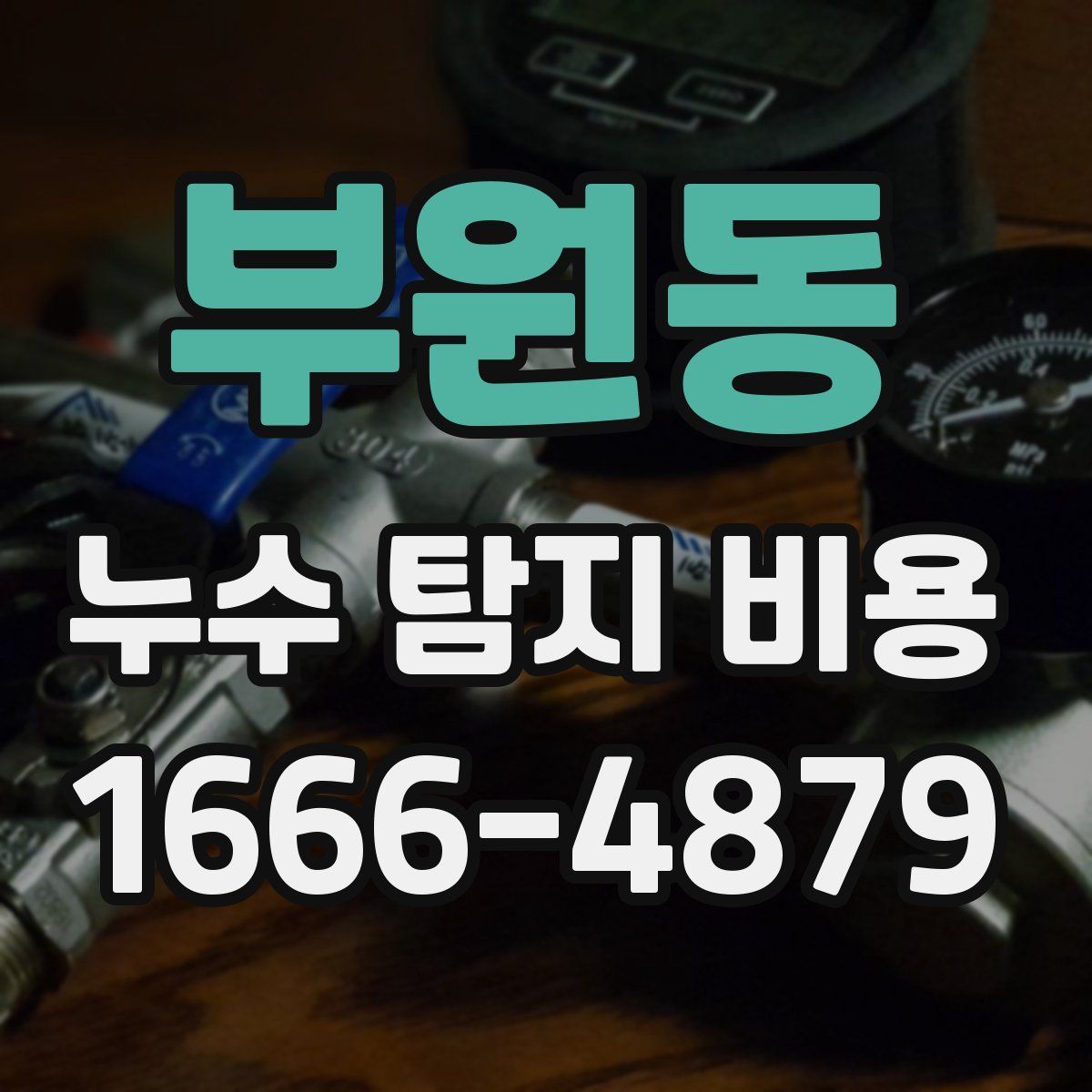 부원동 누수 탐지 비용