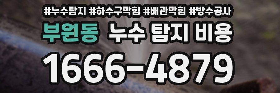 부원동 누수 탐지 비용