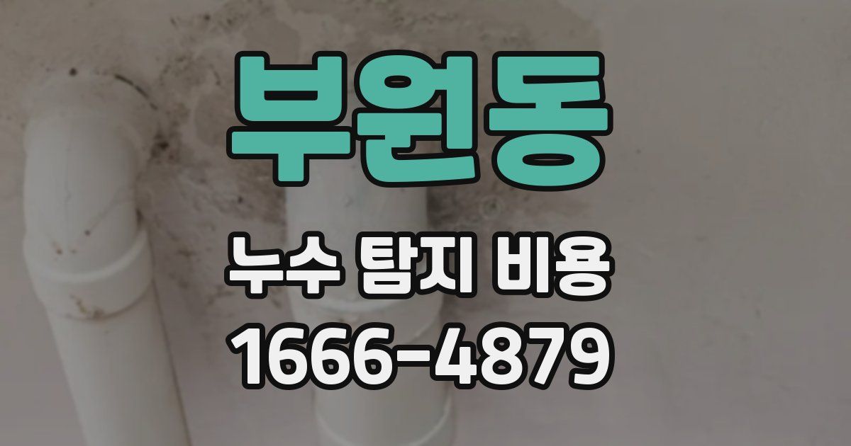 부원동 누수 탐지 비용