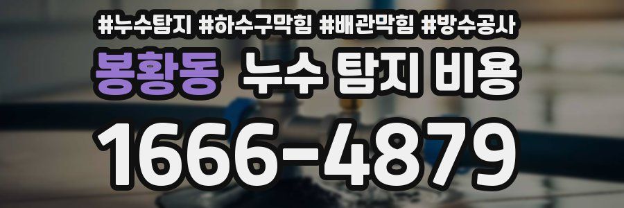 봉황동 누수 탐지 비용