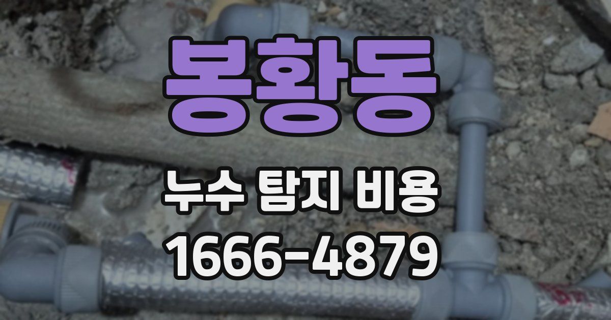봉황동 누수 탐지 비용