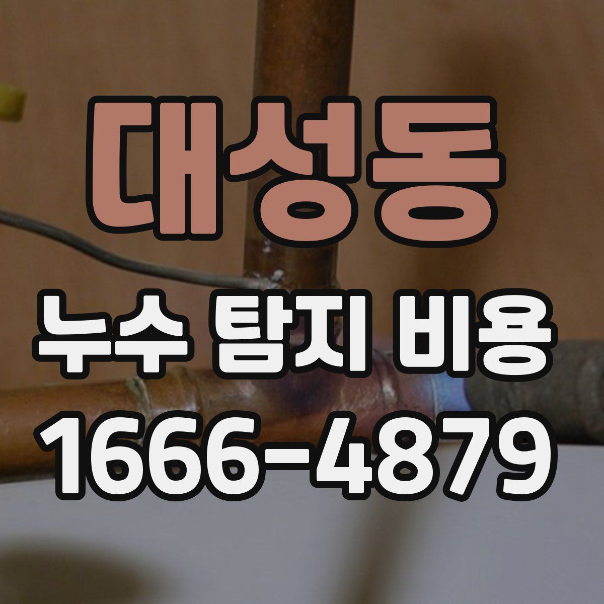 대성동 누수 탐지 비용