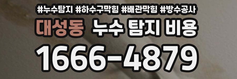 대성동 누수 탐지 비용