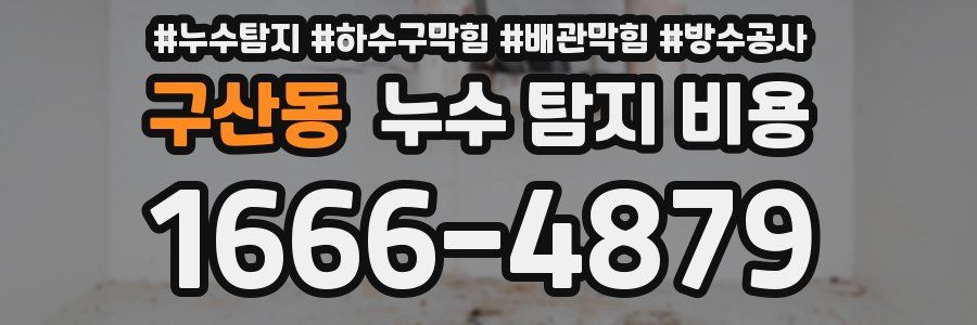 구산동 누수 탐지 비용