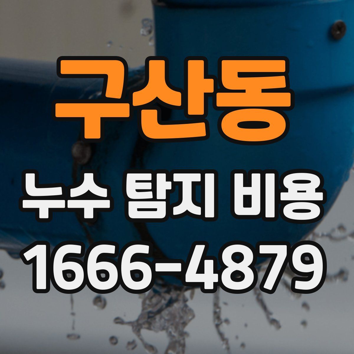 구산동 누수 탐지 비용