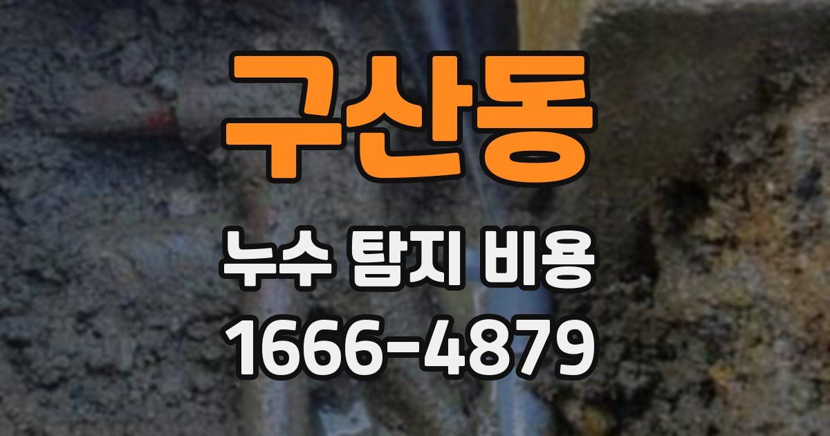 구산동 누수 탐지 비용