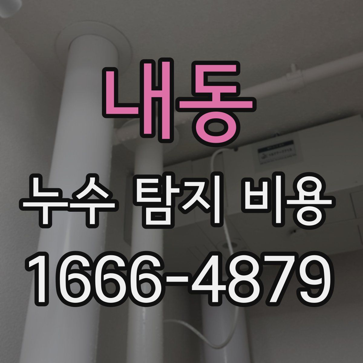 내동 누수 탐지 비용