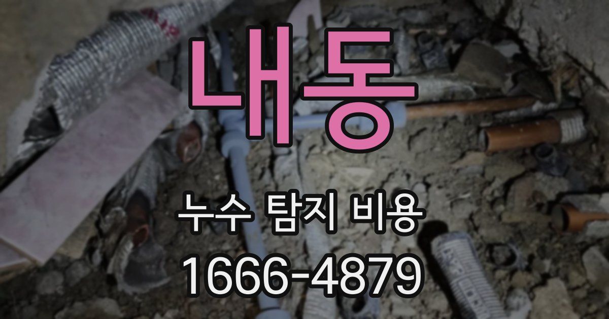내동 누수 탐지 비용