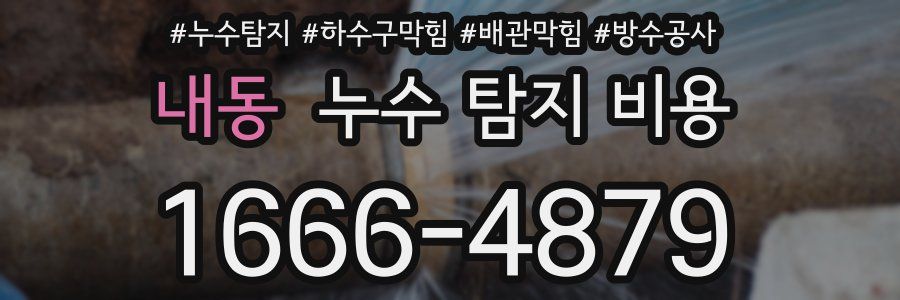 내동 누수 탐지 비용