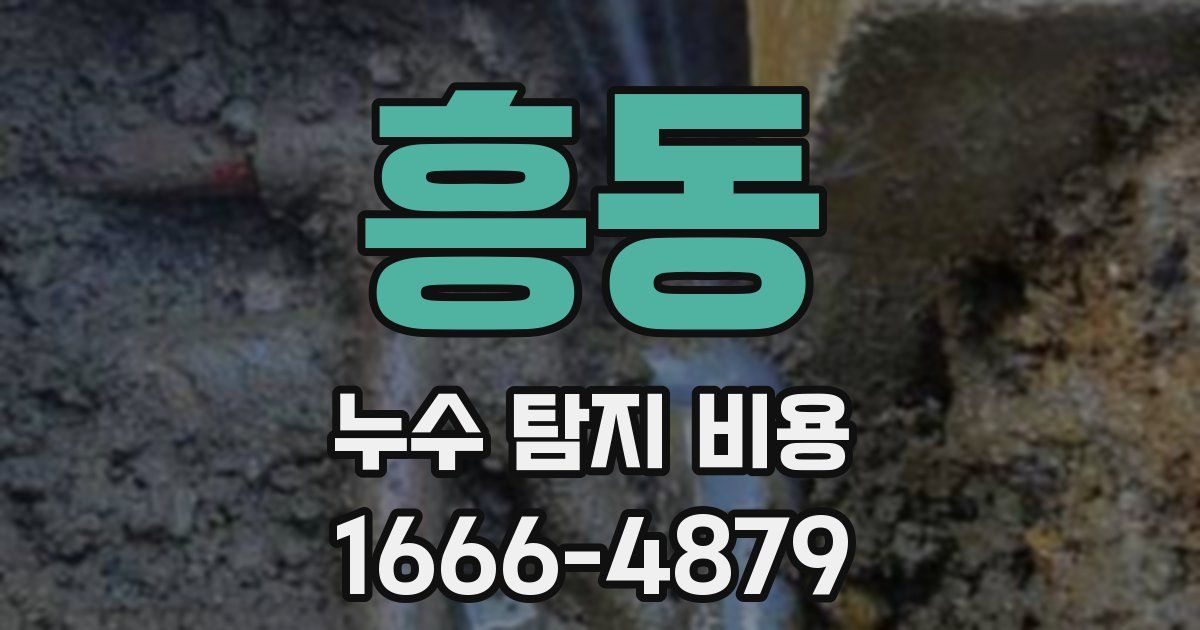 흥동 누수 탐지 비용
