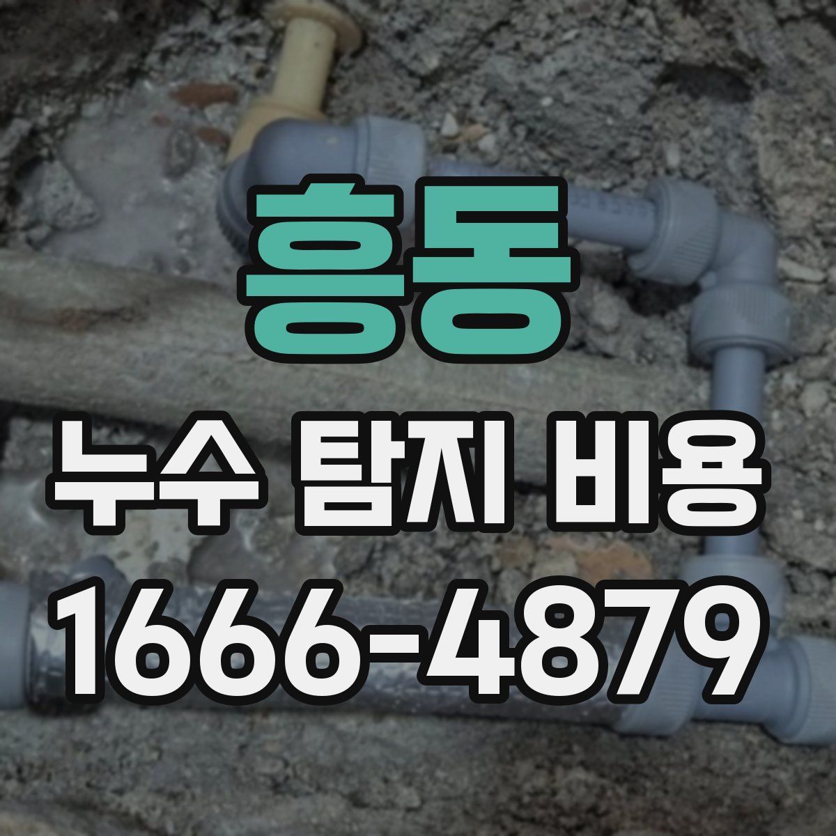 흥동 누수 탐지 비용