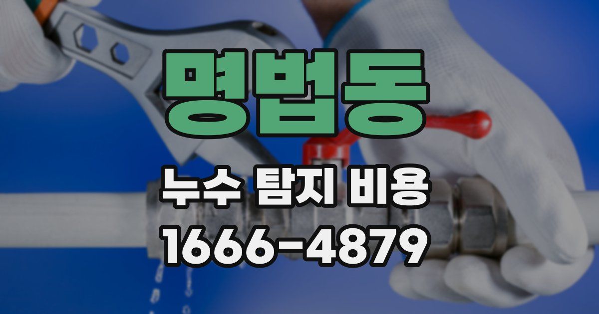 명법동 누수 탐지 비용