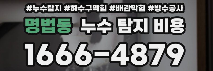 명법동 누수 탐지 비용