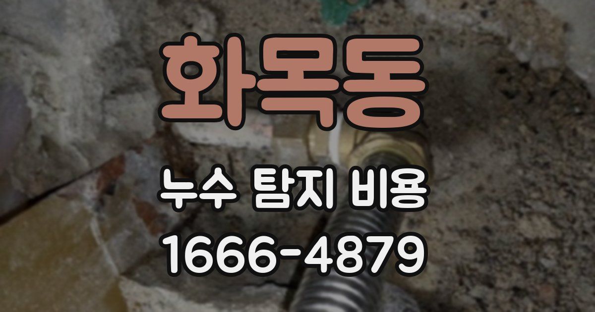 화목동 누수 탐지 비용