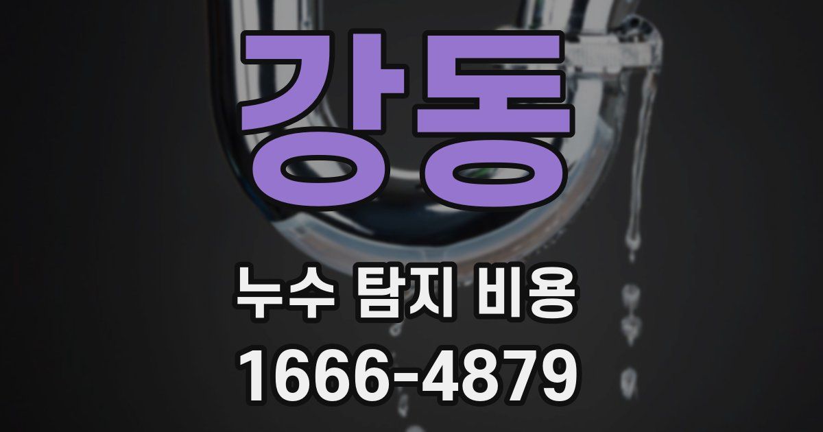 강동 누수 탐지 비용