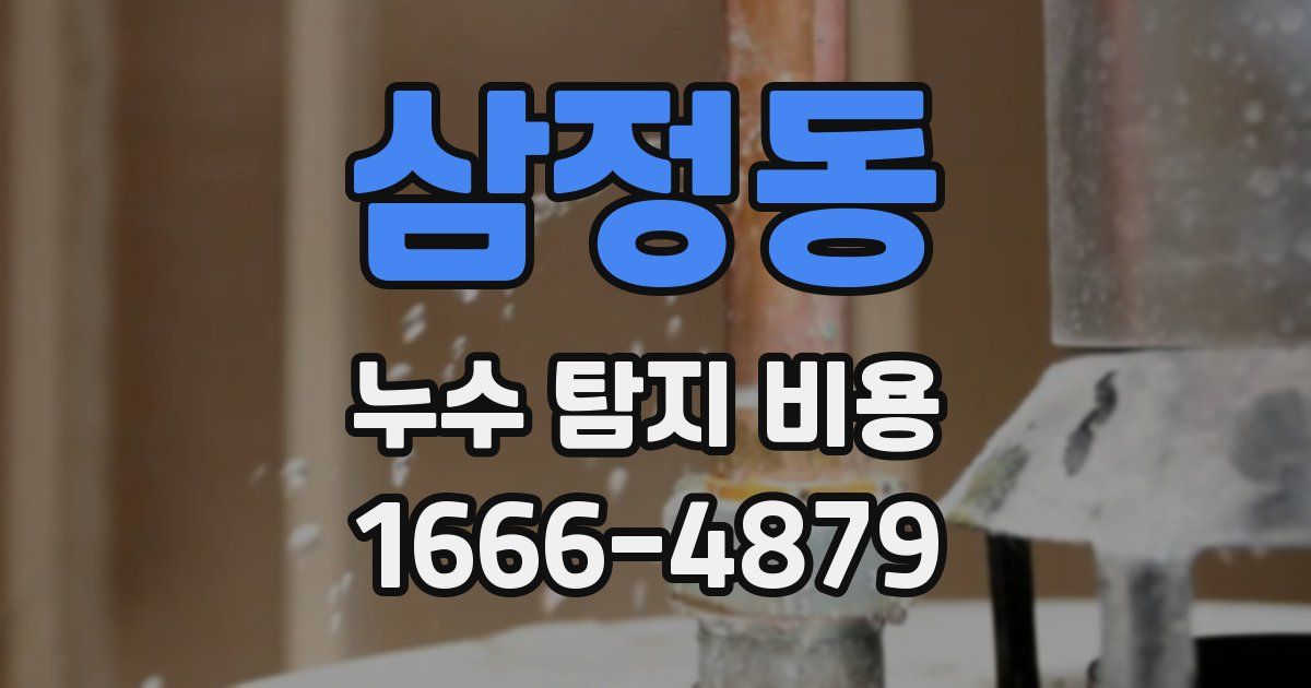삼정동 누수 탐지 비용