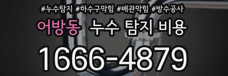 어방동 누수 탐지 비용