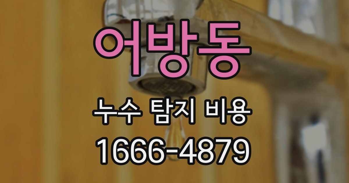 어방동 누수 탐지 비용