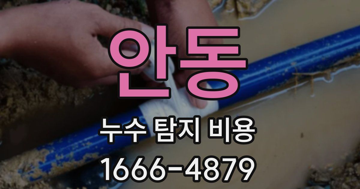 안동 누수 탐지 비용