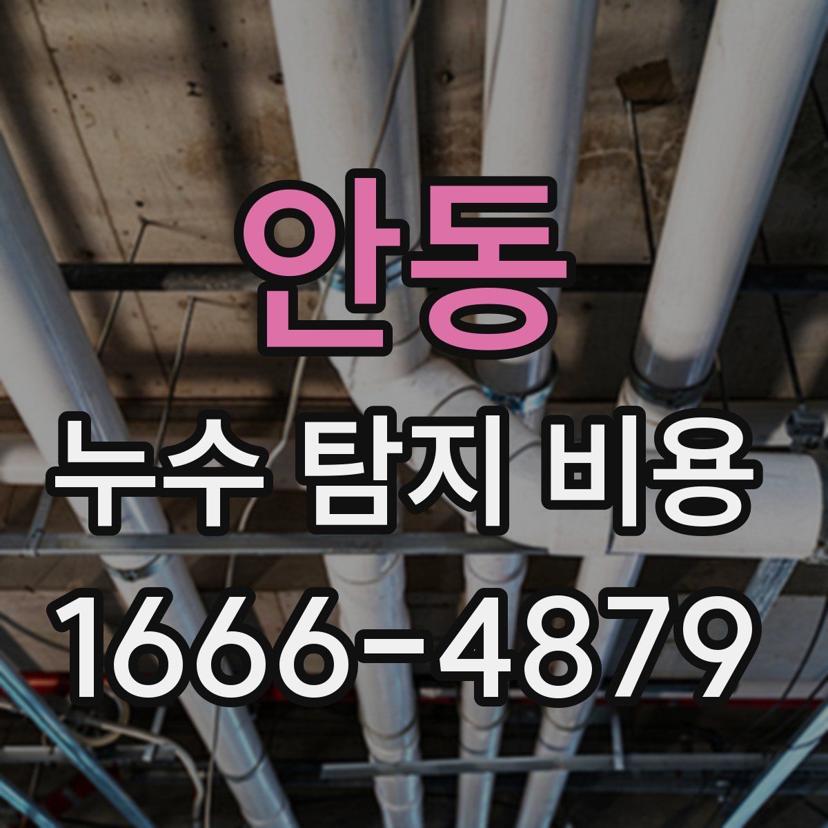 안동 누수 탐지 비용
