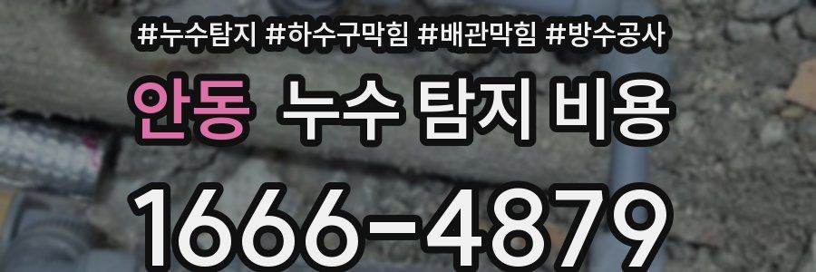 안동 누수 탐지 비용