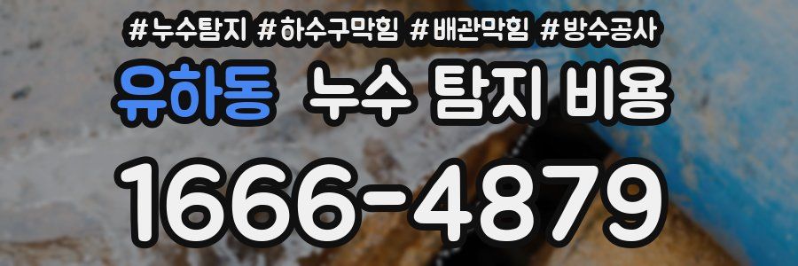 유하동 누수 탐지 비용