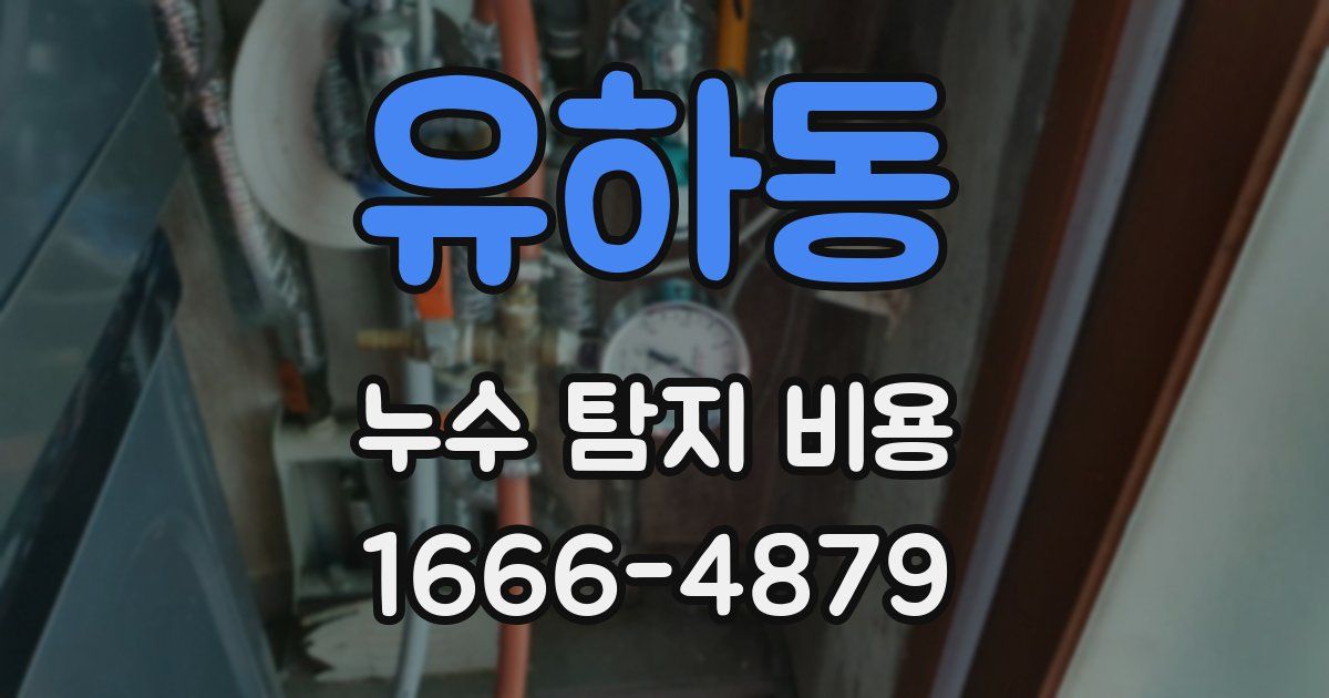 유하동 누수 탐지 비용