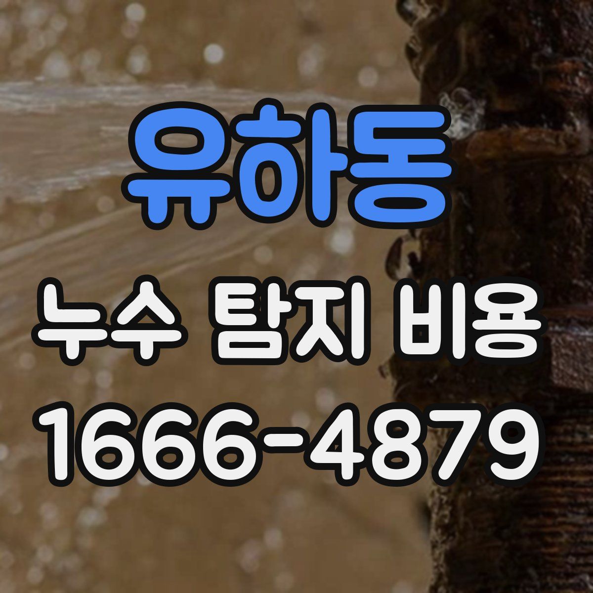 유하동 누수 탐지 비용