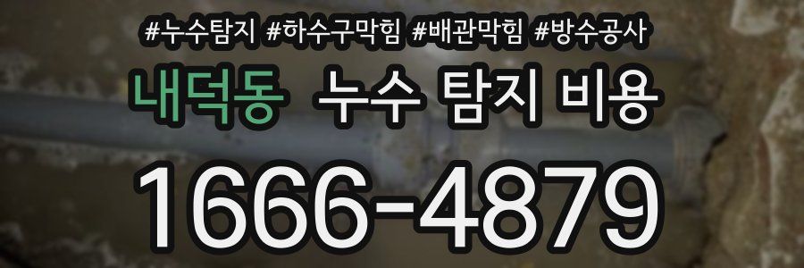 내덕동 누수 탐지 비용