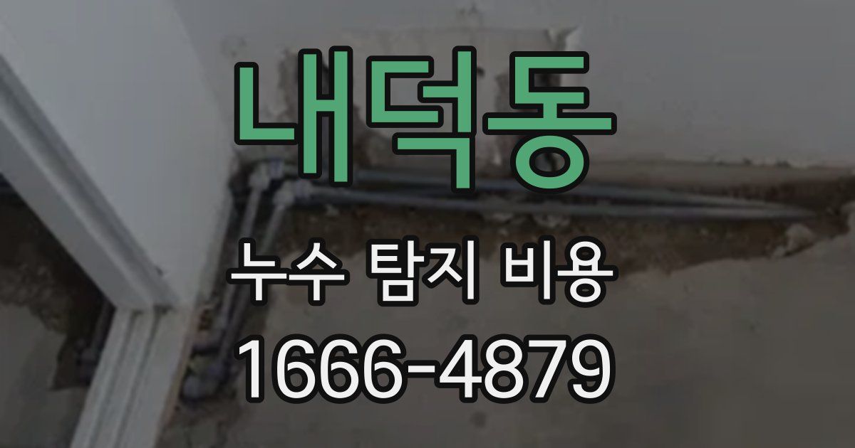 내덕동 누수 탐지 비용