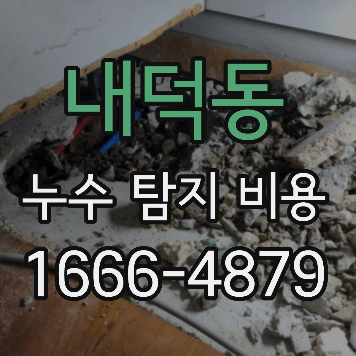 내덕동 누수 탐지 비용