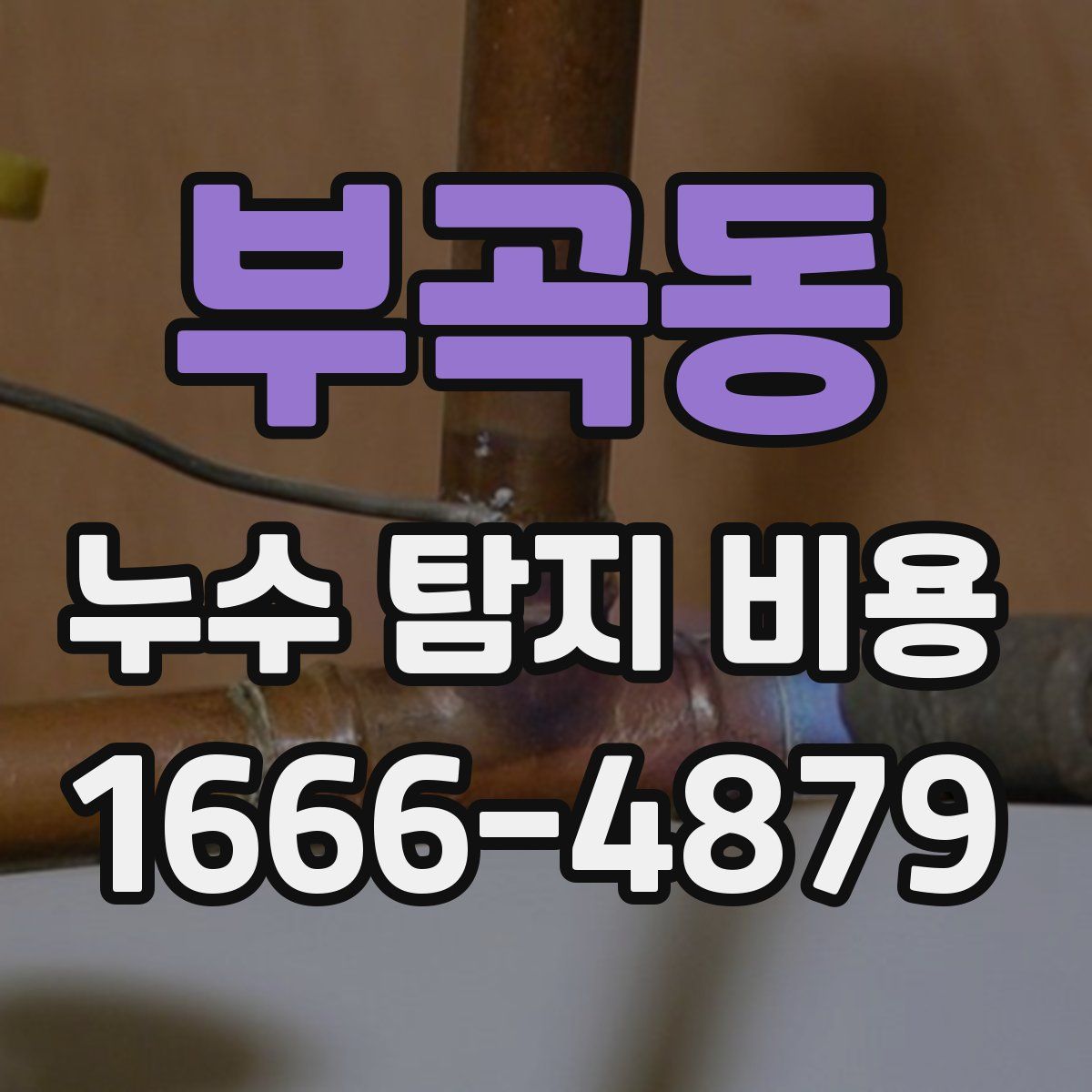 부곡동 누수 탐지 비용