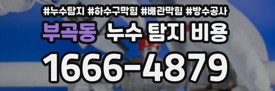 부곡동 누수 탐지 비용