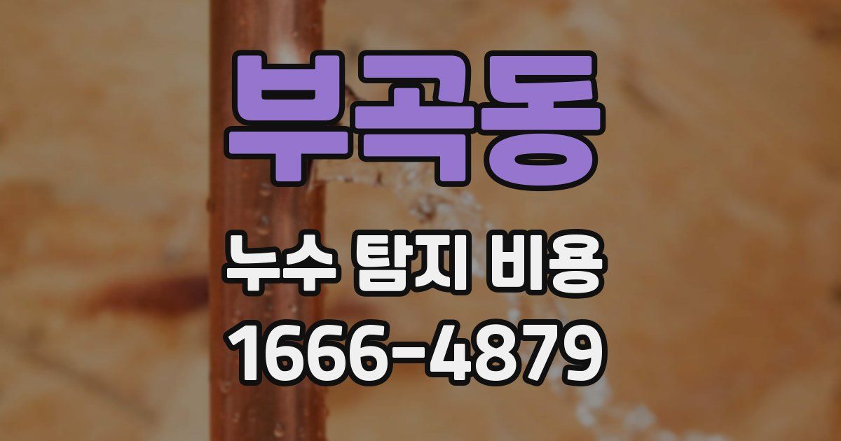 부곡동 누수 탐지 비용