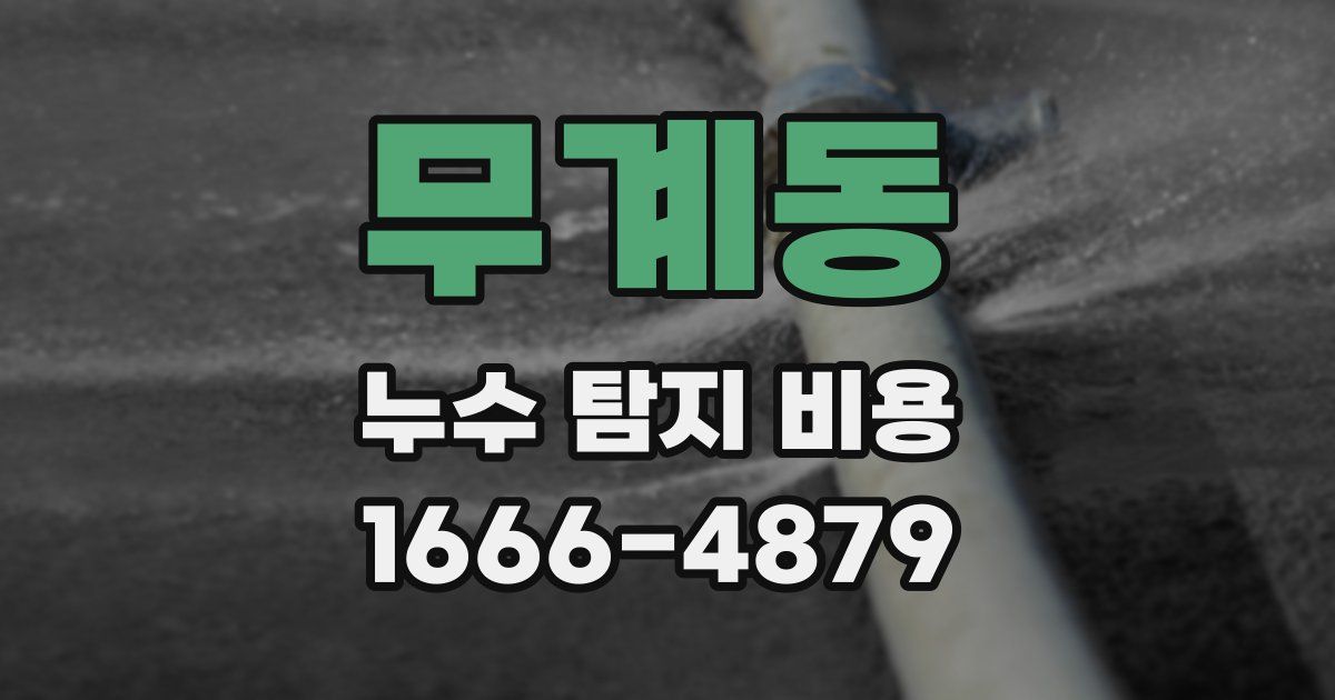 무계동 누수 탐지 비용