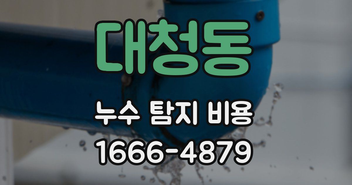대청동 누수 탐지 비용
