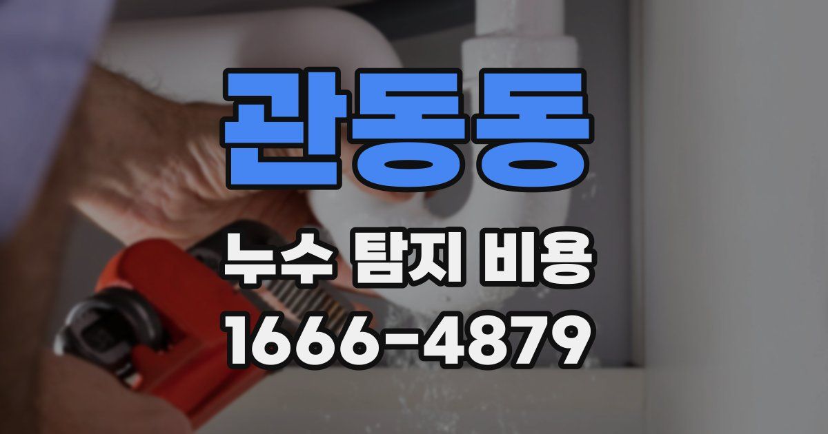 관동동 누수 탐지 비용
