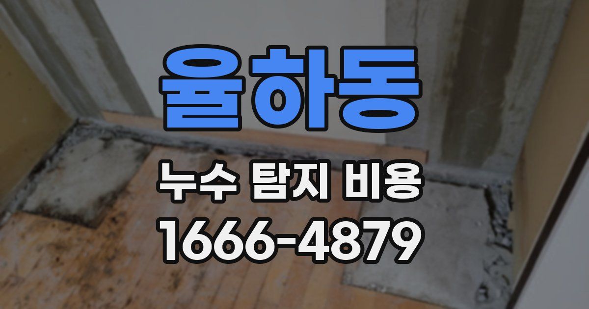율하동 누수 탐지 비용